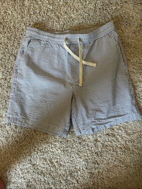 Goodfellow & Co Blue and White Striped Seersucker Shorts